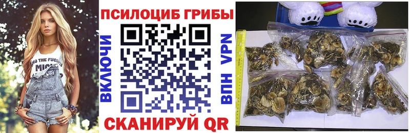 Купить закладки  Дедовск  Псилоцибиновые грибы мицелий 